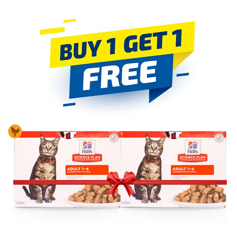 Hill's Science Plan Adult Wet Cat Food Chicken Pouches 85gx12